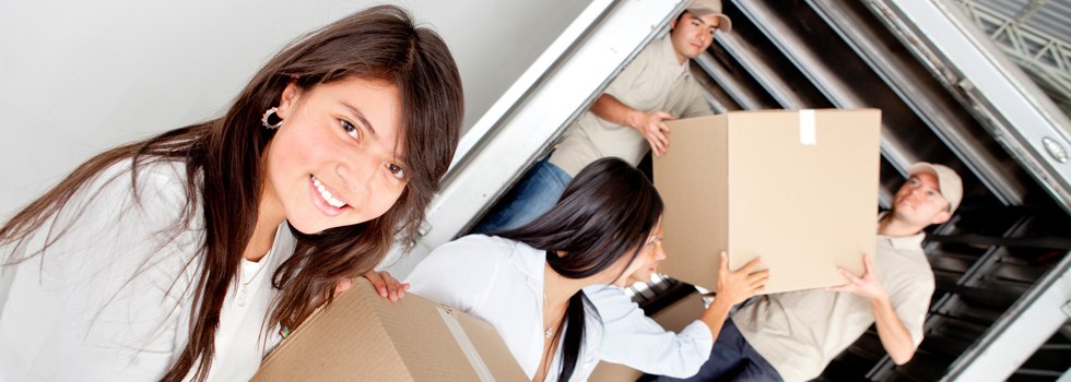 Professional Removalists Cartwright